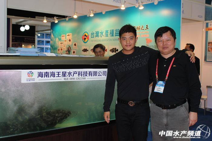 台湾企业组团参加大连渔业博览会 主推石斑鱼