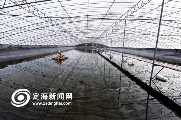 浙江舟山盘峙水产养殖场成定海区首个农业部菜篮子实施项目