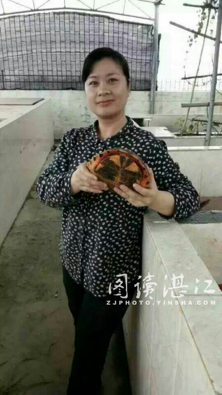 元旦节访广东湛江东海岛龟头龟鳖养殖合作社_