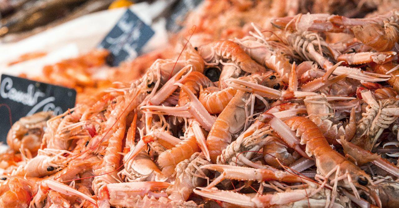英国超市再放环保新招，用海鲜小螯虾虾壳做可降解保鲜膜!