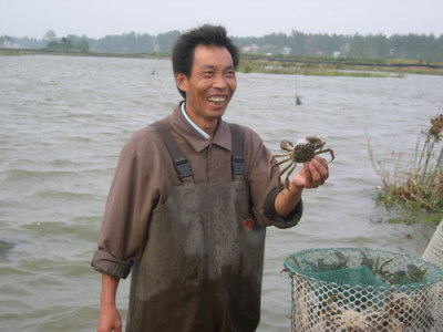 汉川汈汊湖螃蟹养殖大丰收 螃蟹