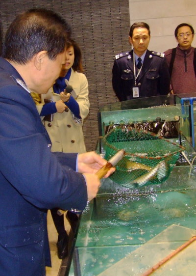 四川成都:长江禁渔期内无证卖鱼将被处理_水产