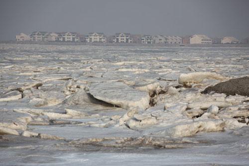 渤海湾遭数十年不遇冰灾海鲜批发商无鲜货可卖