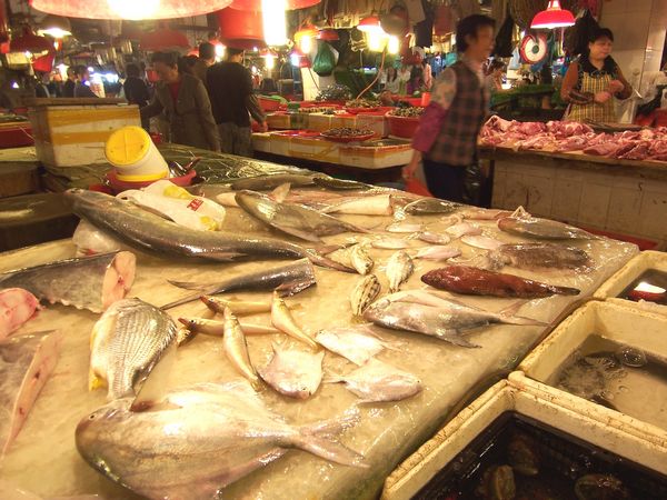 广东汕头市多种海产品货源吃紧价格上涨明显_