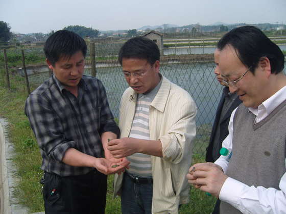 江西省渔业局领导到南丰县指导甲鱼养殖-养殖