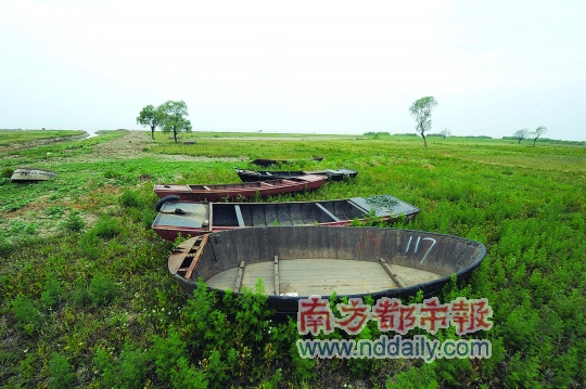 三季持续干旱 中国第五大淡水湖巢湖几近