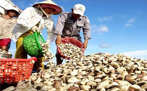 越南水产品受中国消费市场青睐_水产快讯(国际