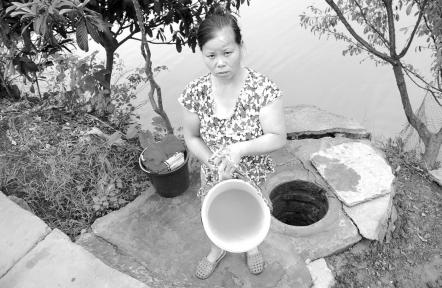 四川省自贡市一养殖户鱼塘肥水养鱼 沿河居民