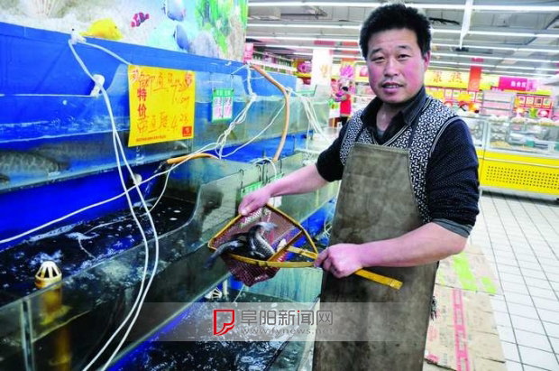 近期安徽阜阳市超市菜市场水产品价格持续下跌