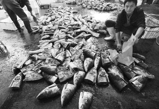 天冷火锅热 武汉白沙洲水产市场鱼头销量增加