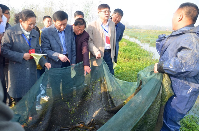 河南固始县人大组织代表视察全县水产开发工作