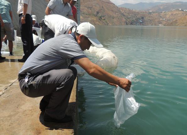 云南鲁地拉水电站举行2014年鱼类人工增殖放