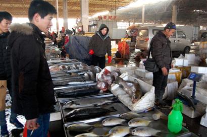 2013海鲜鱼类价格_休渔期青岛鱼类海鲜涨幅大贝类便宜受青睐