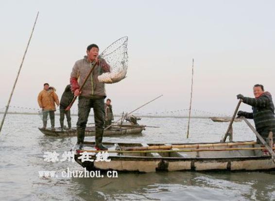 安徽滁州凤阳县渔民开展冬季围捕_水产快讯(国