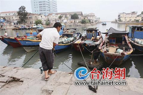 野生海鲜_青岛：积米崖渔港渔船丰收肥美野生海鲜逐个看