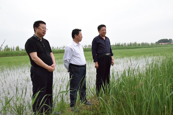 吉林白城市镇赉县召开全县稻渔种养增收工程现