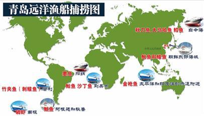 金城海鲜有限公司_山东青岛本地海鲜将越来越少青企远赴南美捞鱿鱼(3)
