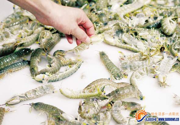 晉江海鮮批發市場_東海開漁后廈門市場魚鮮品種增多價格也大幅下調