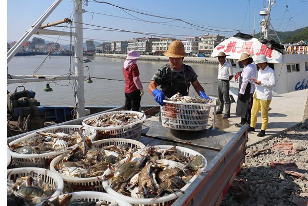 台风将至 浙江台州玉环渔船纷纷进港,带回大量海鲜