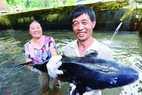 广西桂林市龙胜县亚冷水鱼养殖让群众脱贫致富