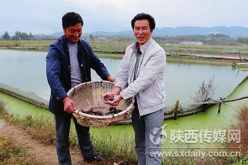 陕西汉中创新推进现代生态渔业升级版建设:生