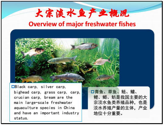 戈贤平谈中国淡水养殖业发展现状及未来发展策