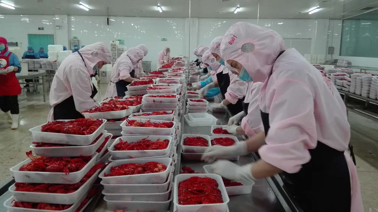 农民日报记者采访报道湖南益阳市南县小龙虾深加工产业