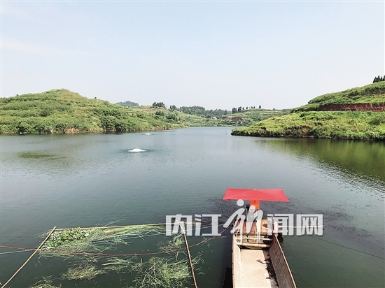 四川内江市东兴区:保护水库水质 严查肥水养鱼