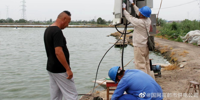江苏扬州高邮：“电力快车”助水产养殖户增效节支