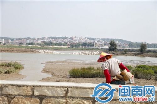 福建泉州洛阳古桥下沙袋堆影响美观 部分督促