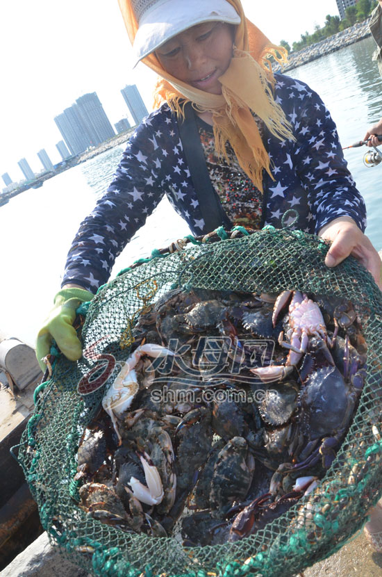 随山东烟台龙口桑岛渔民体验捕蟹之旅 自然馈